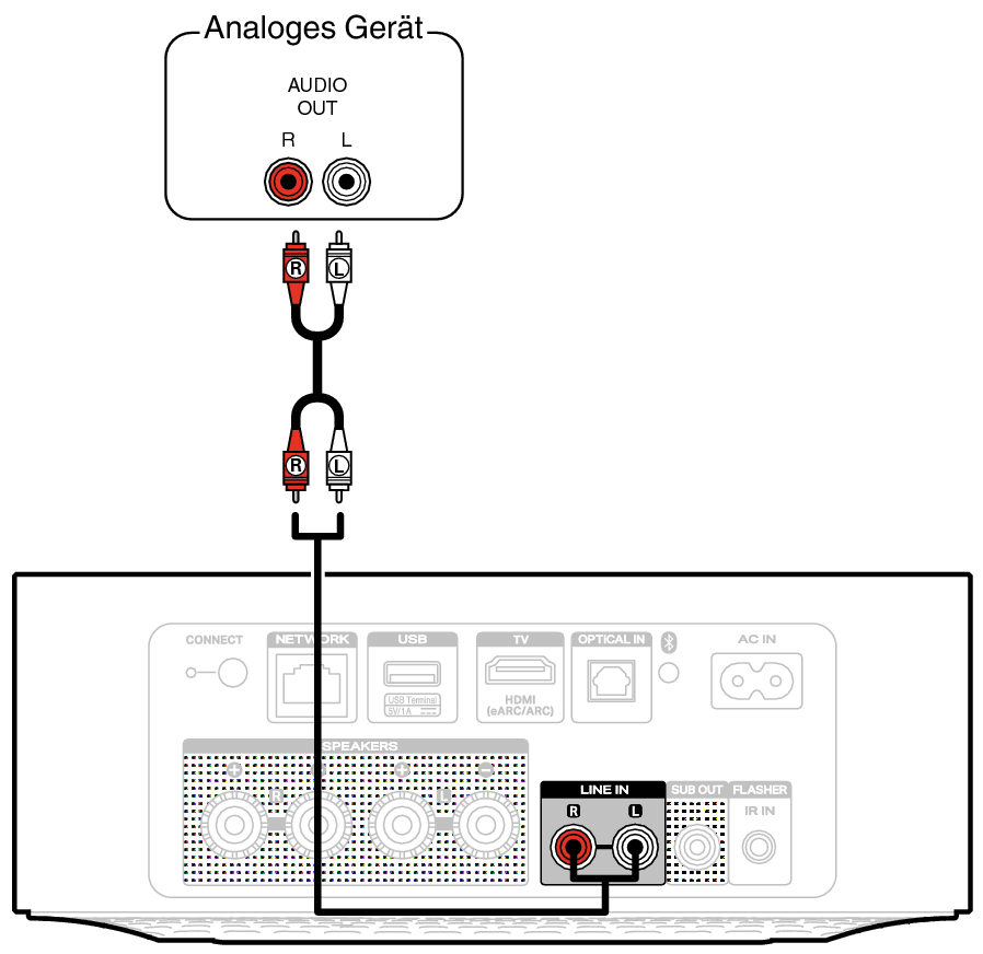 Conne AnalogIn M1